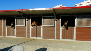 equestre2-compressor