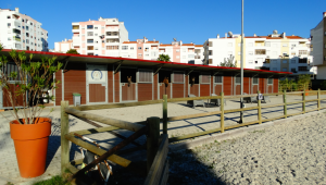 equestre1